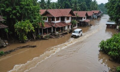 crocodile approaches flooded home