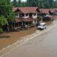 crocodile approaches flooded home